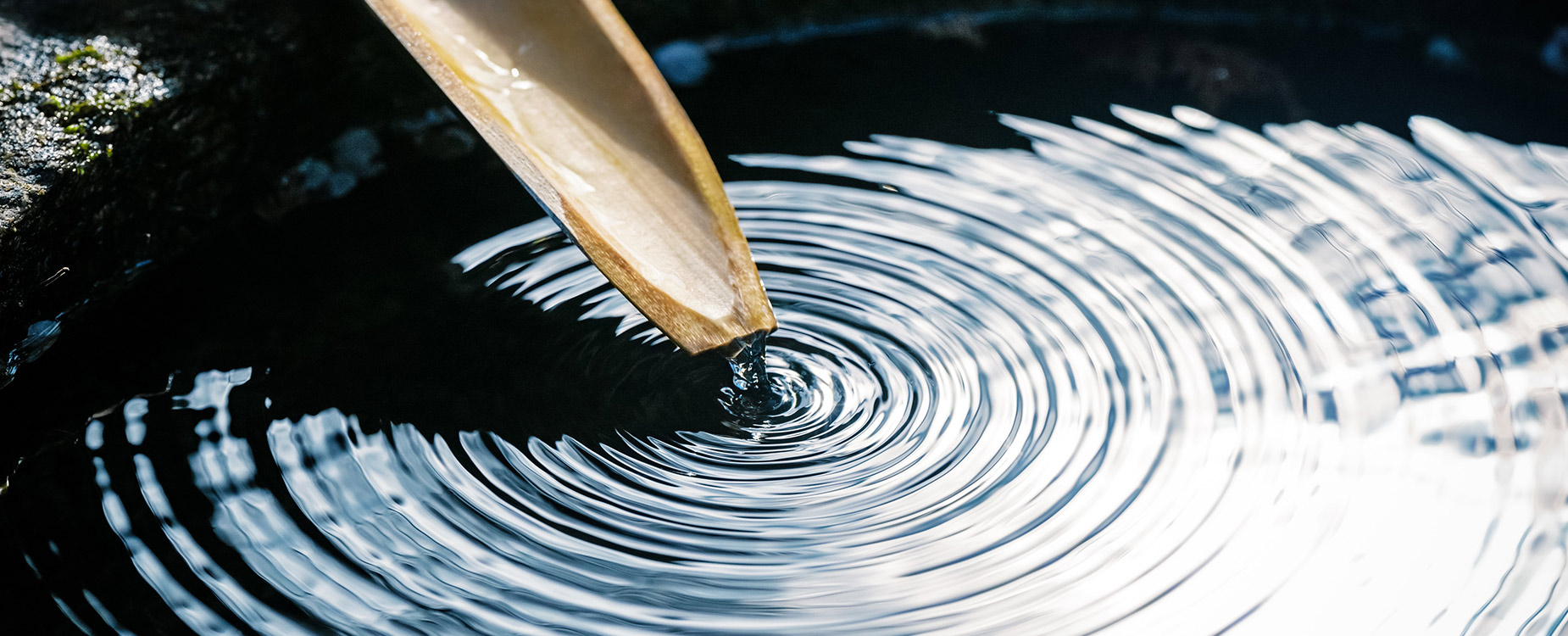 About Takagi - Middle